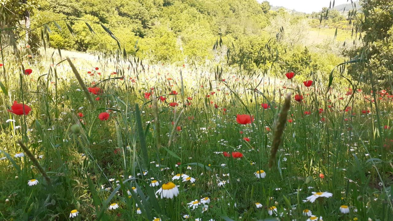 Agriturismo Marcofrate, A Retreat In The Nature Valtopina المظهر الخارجي الصورة