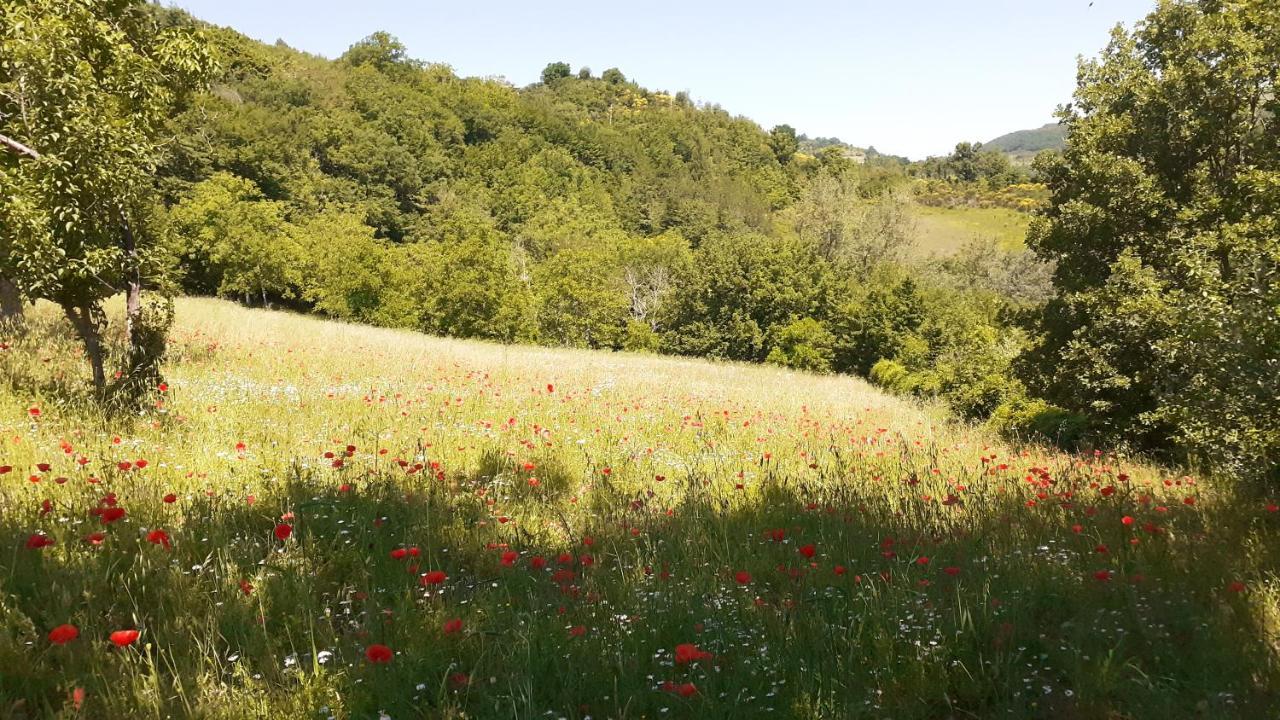Agriturismo Marcofrate, A Retreat In The Nature Valtopina المظهر الخارجي الصورة