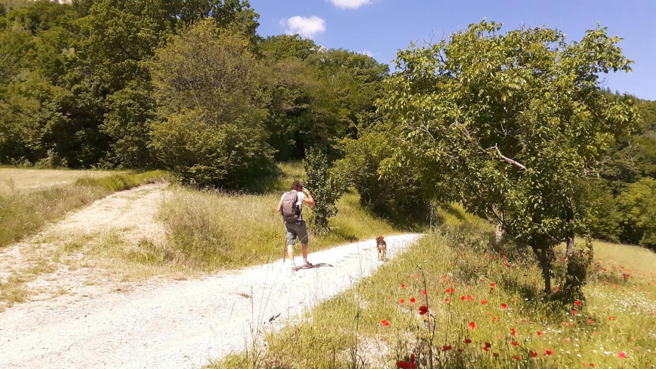 Agriturismo Marcofrate, A Retreat In The Nature Valtopina المظهر الخارجي الصورة